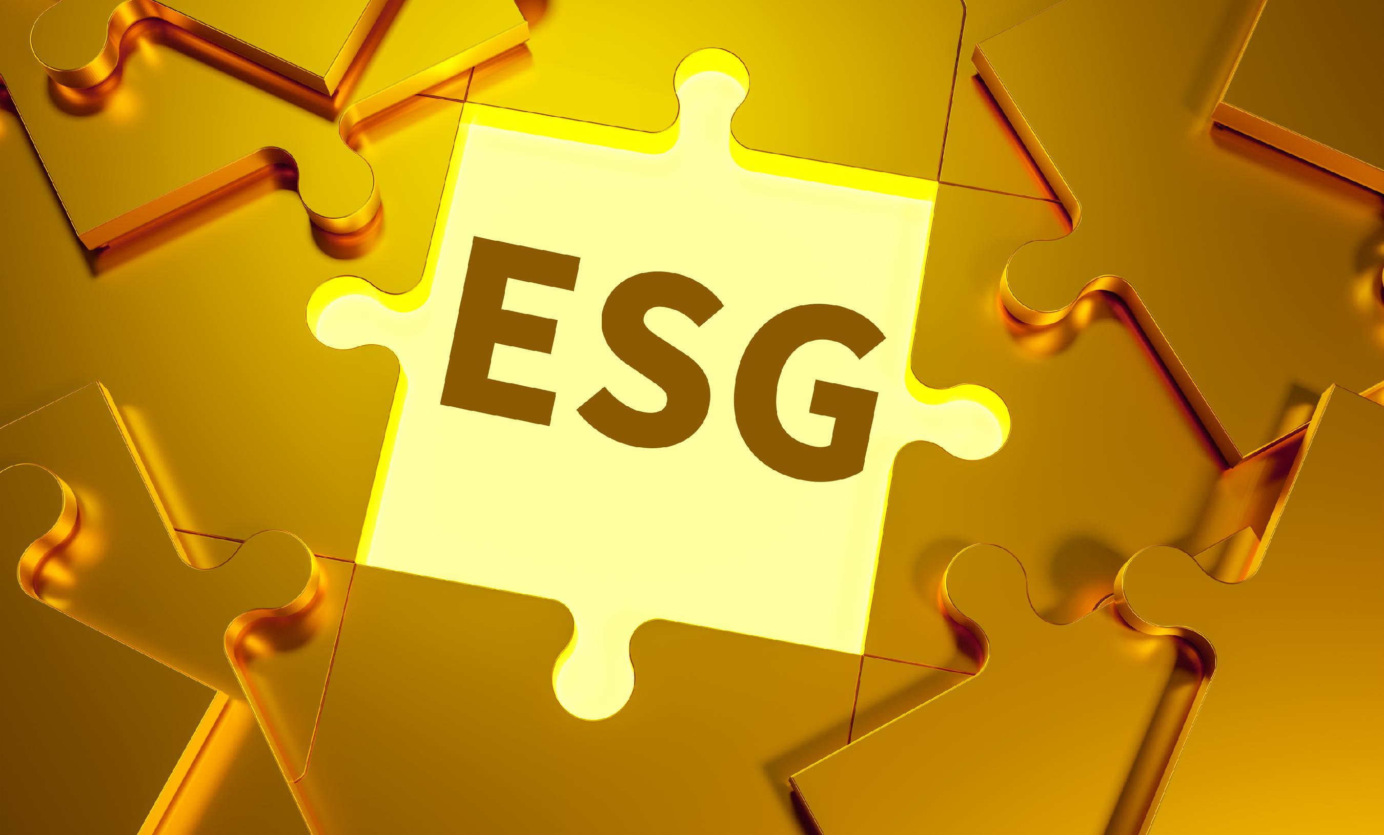 ESG Investing 